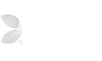 Evolution Gaming - Provider - menang29a