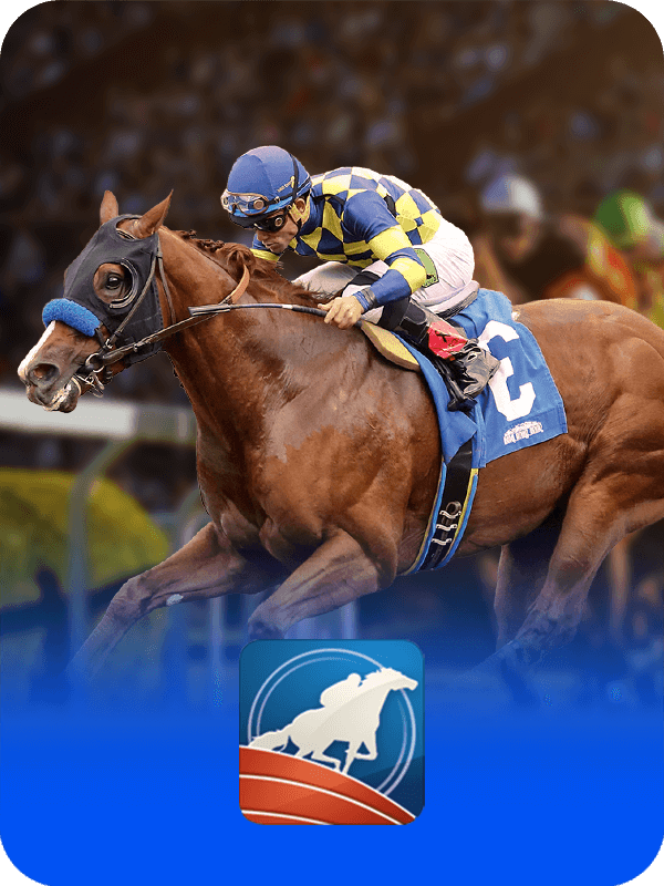 Horse Gaming - menang29a