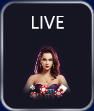 Menang29 - Live Button - menang29a