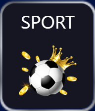 Menang29 - Sport Button - menang29a